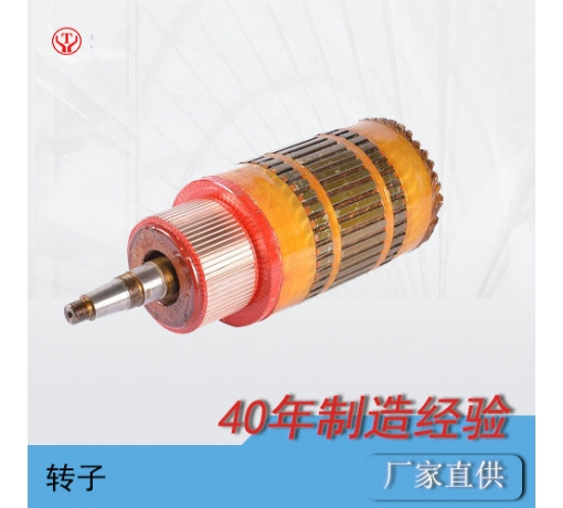 ZQ-1.9輔助直流牽引電機(jī)電樞（250V，550V）